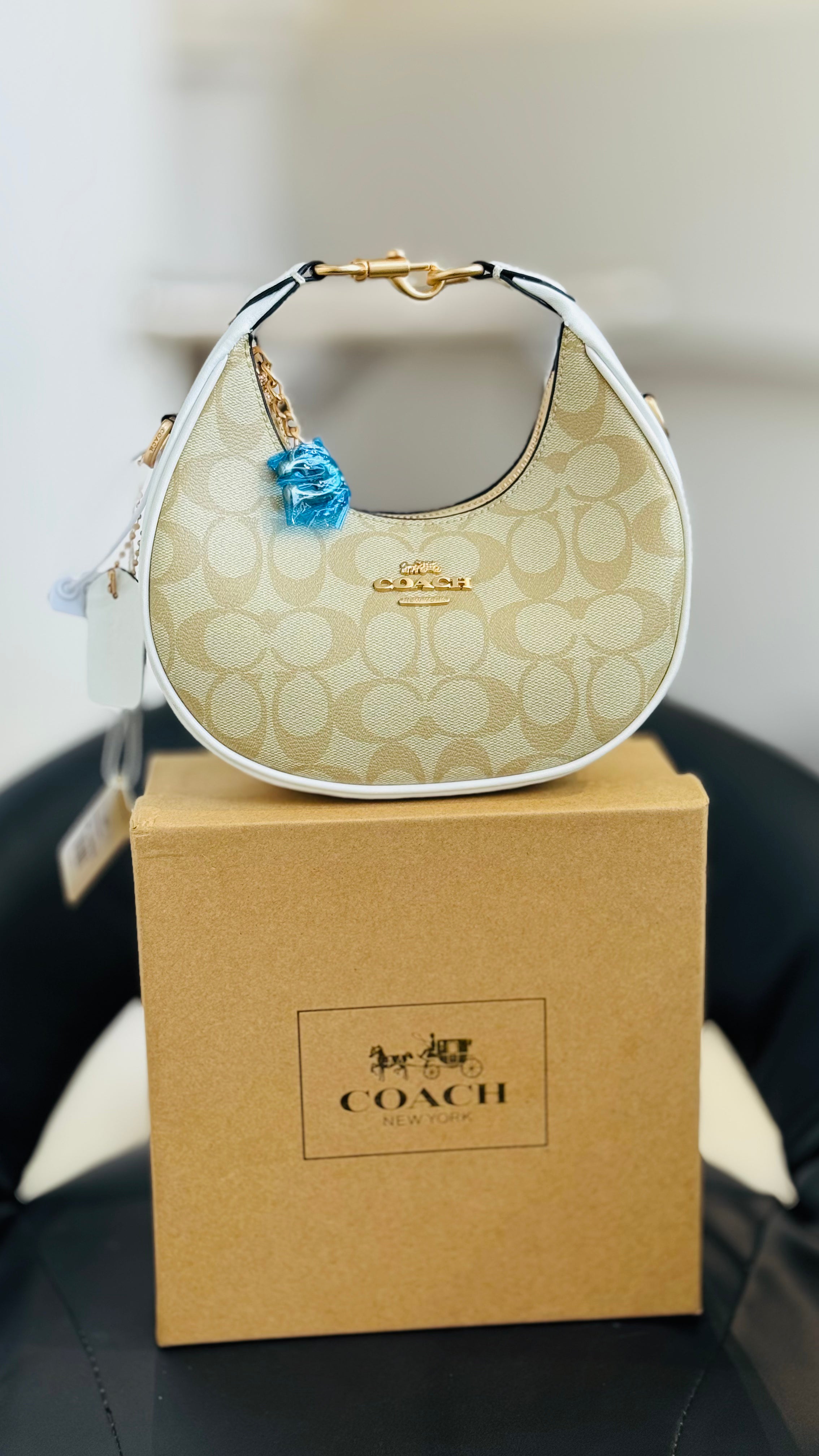 Coach Signature Crescent Hobo Bag | Classic Monogram Shoulder Handbag