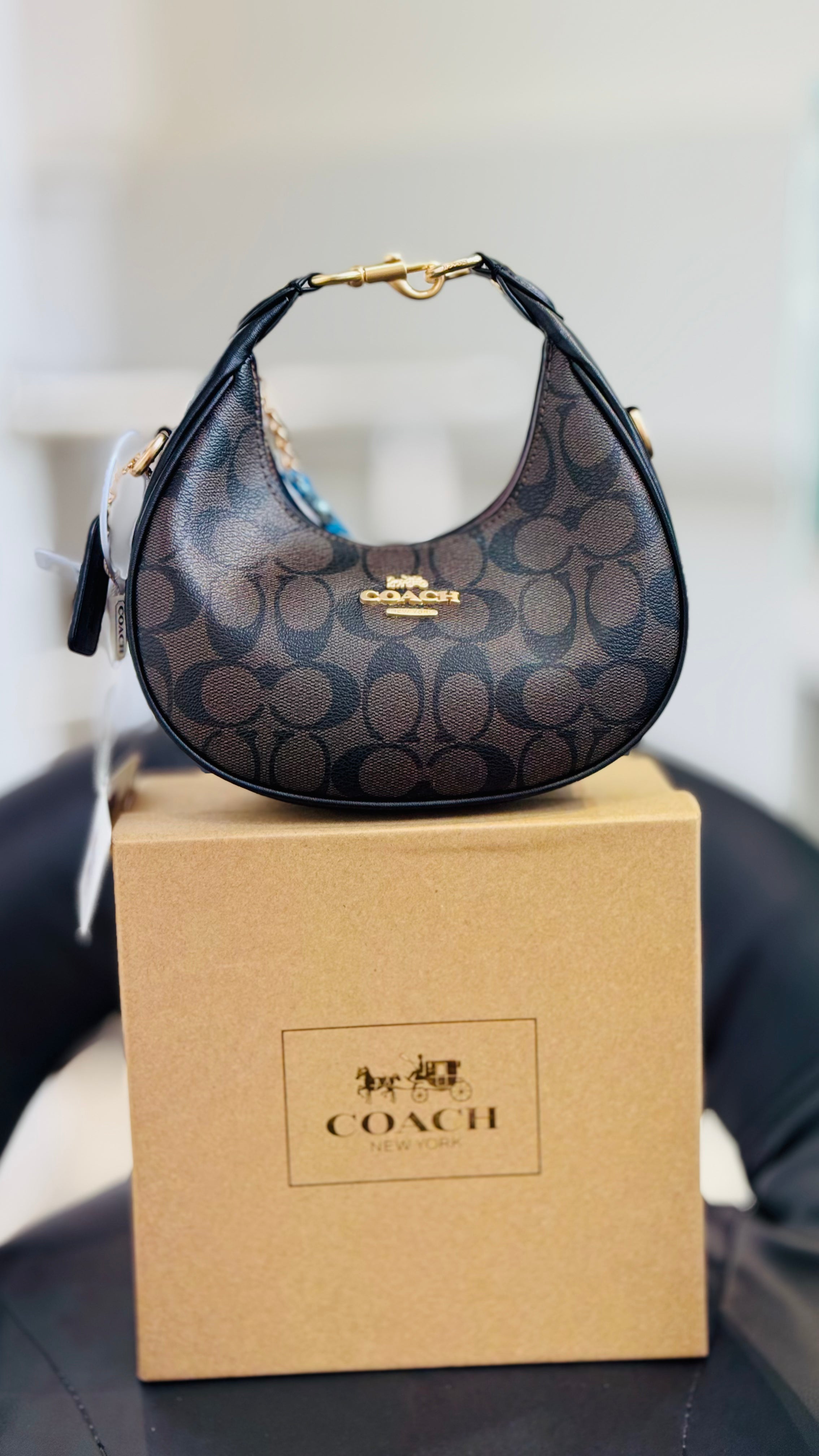 Coach Signature Crescent Hobo Bag | Classic Monogram Shoulder Handbag